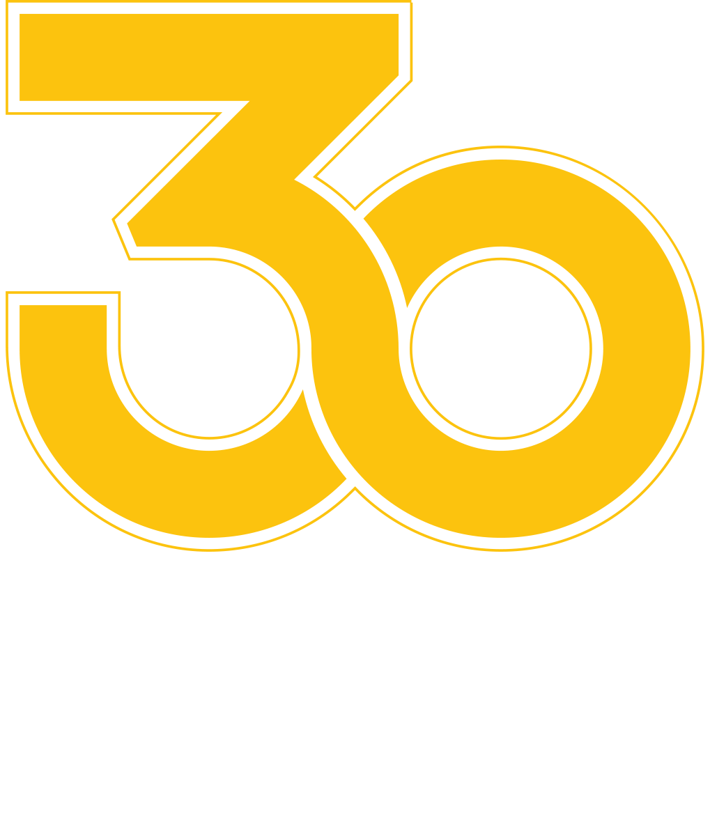 Логотип_30_лет_независимости