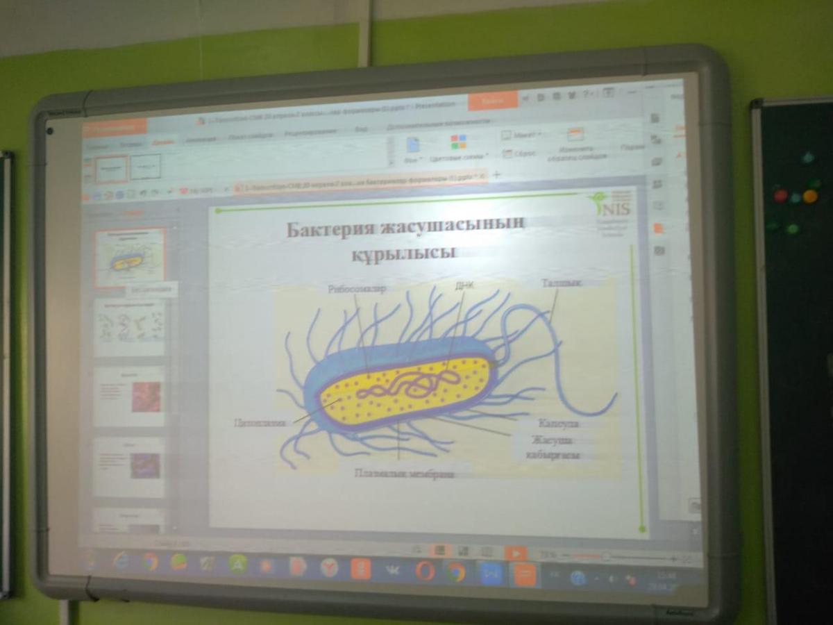 Биология пәні мұғалімі Орайханова А. 7 "В" сыныбымен "Бактериялардың пішіні" тақырыбында ашық сабақ өткізіді. Сабақ өте қызықты өтті.