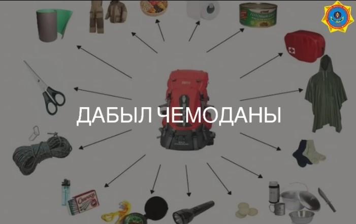 ДАБЫЛ ЧЕМОДАНЫ